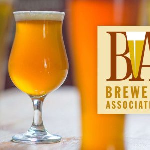 guia-de-estilos-2022-brewers-association